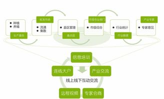 互联网 优秀案例 广东省农业信息监测体系建设
